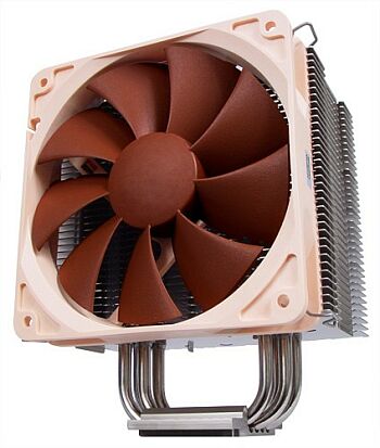   Noctua   