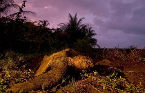 National Geographic Contest 2007:  