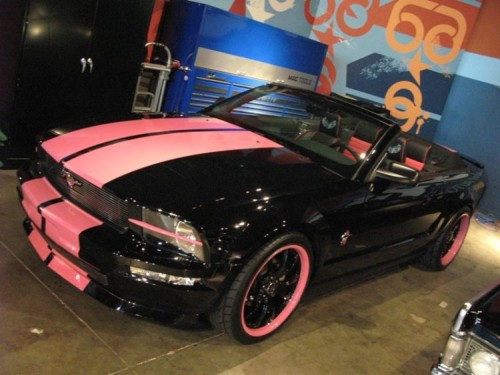 Galpin Warriors Pink Mustang