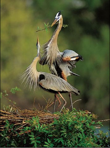 NATURES BEST PHOTOGRAPHY AWARDS 