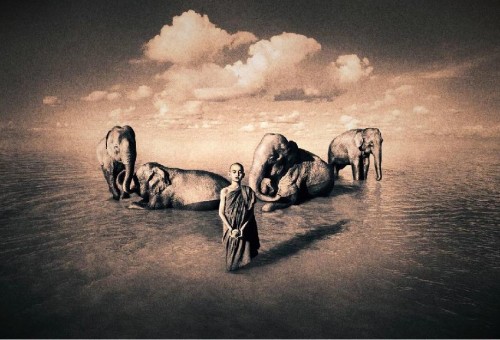   Gregory Colbert "Ashes and Snow" (45 )