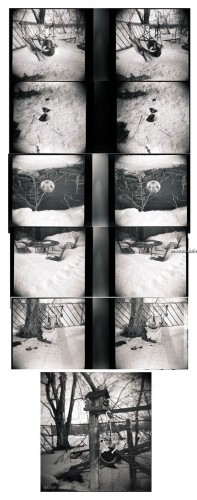 Stereo Holga - ,  3-D 