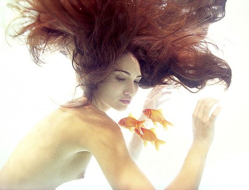 Zena Holloway -    (26 )