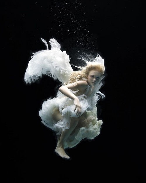 Zena Holloway -    (26 )