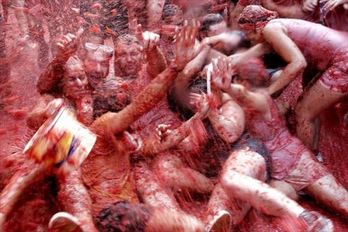    (La Tomatina)  