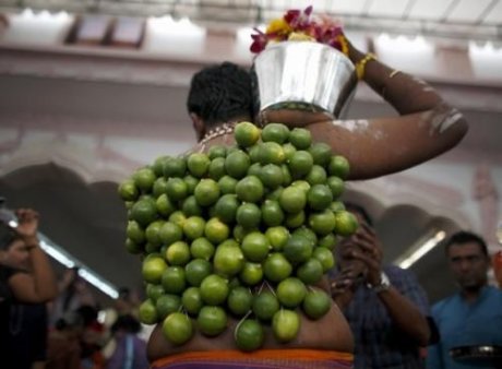   (Thaipusam)