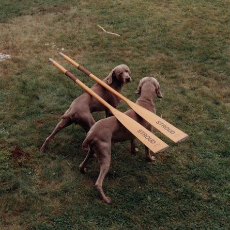   William Wegman 