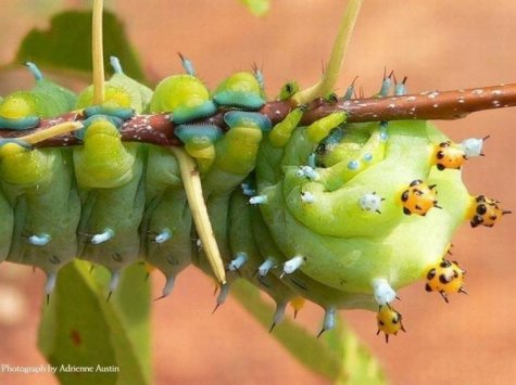  National Geographic