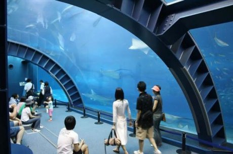 Okinawa Churaumi Aquarium