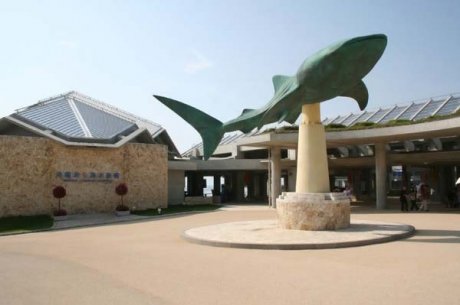 Okinawa Churaumi Aquarium