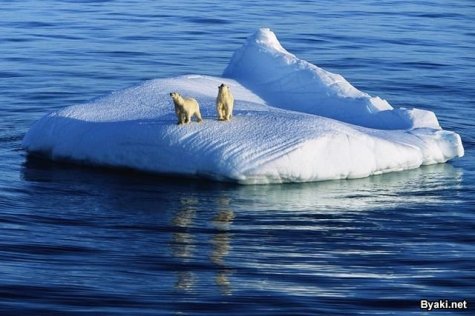    Paul Nicklen