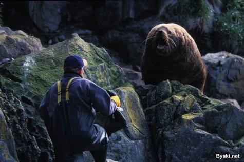    Paul Nicklen