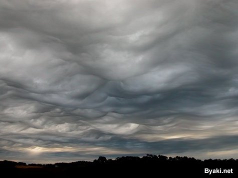 Asperatus