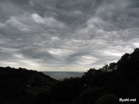 Asperatus