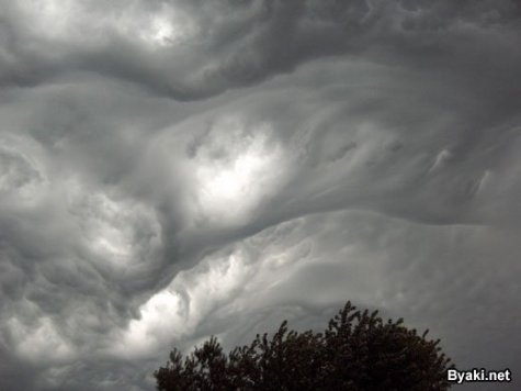 Asperatus