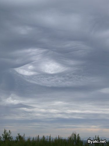 Asperatus