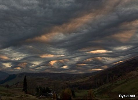 Asperatus