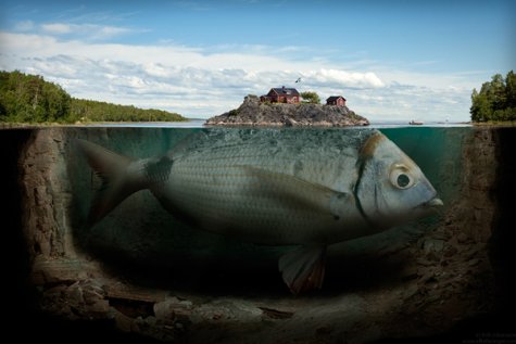   Erik Johansson