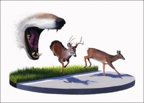 Josh Keyes