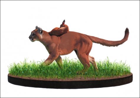 Josh Keyes