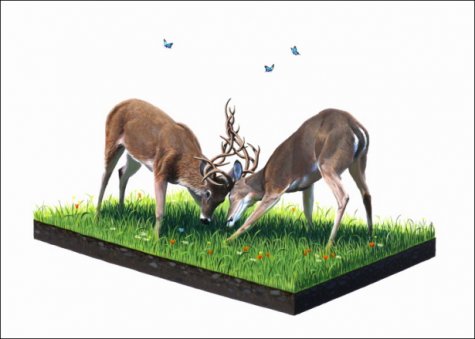 Josh Keyes