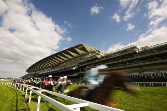        Royal Ascot