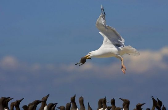       National Geographic 2010 