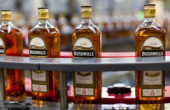      Bushmills