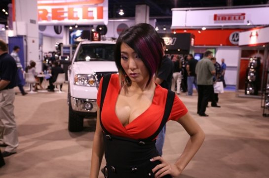 - SEMA-2008  - 