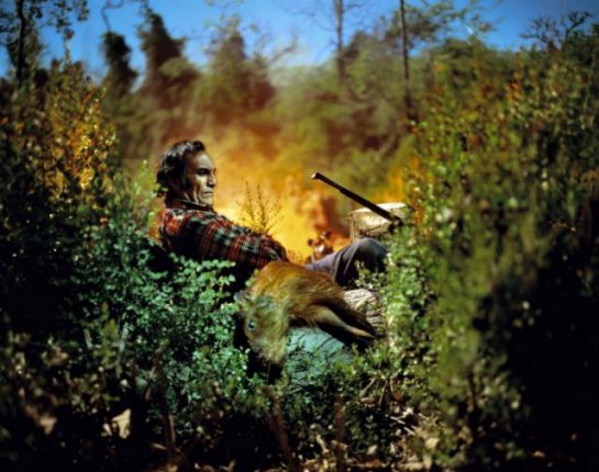  Sony World Photography Awards 2011