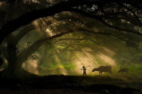  Sony World Photography Awards 2011