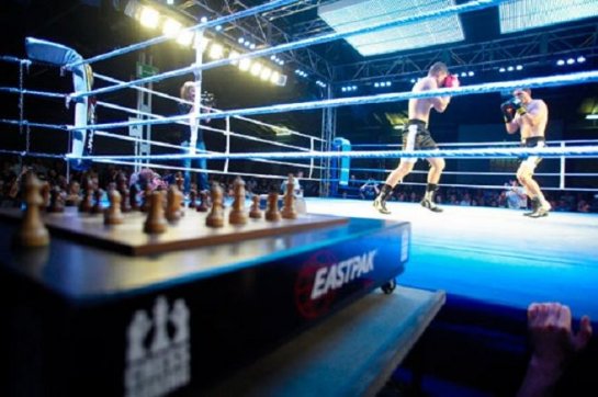 Chessboxing -  ,    