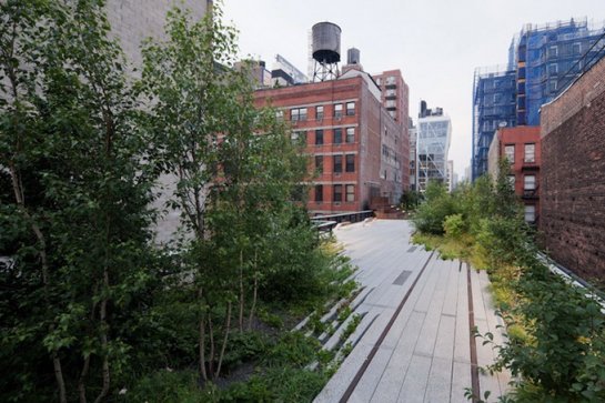  High Line  -