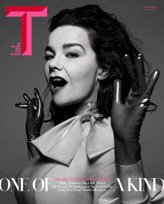  (Bjork)    The NY Times Style Magazine